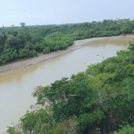 Medio Ambiente