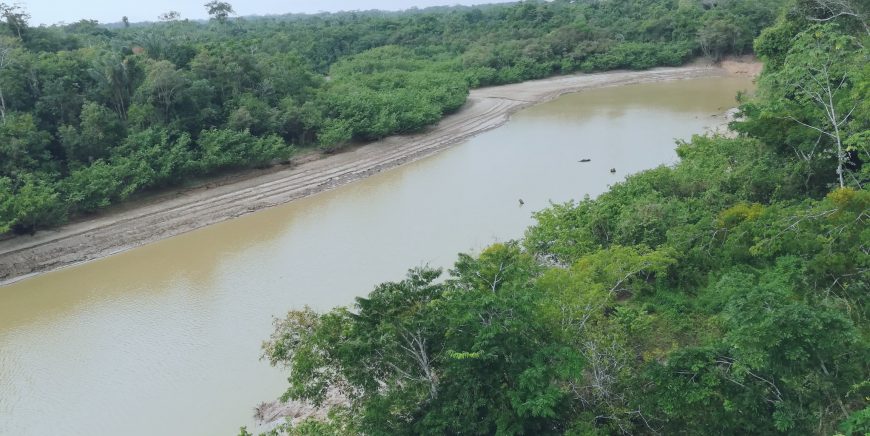 Medio Ambiente